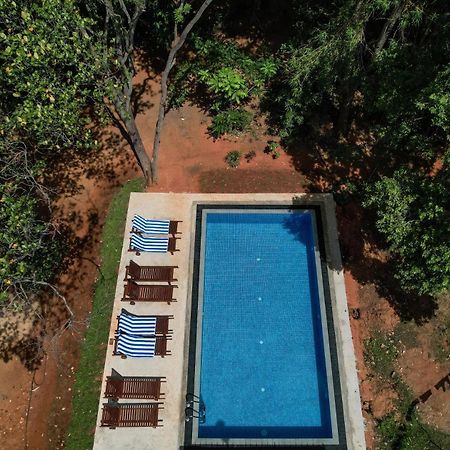 Isanka Lion Lodge Sigiriya Eksteriør bilde