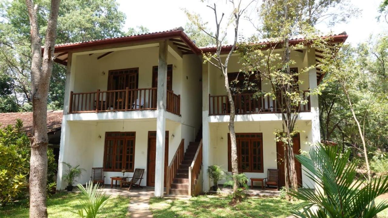 Isanka Lion Lodge Sigiriya Eksteriør bilde
