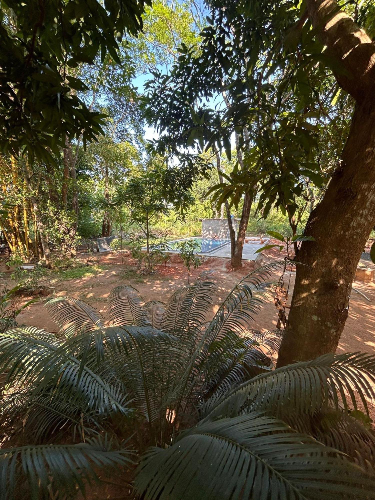 Isanka Lion Lodge Sigiriya Eksteriør bilde