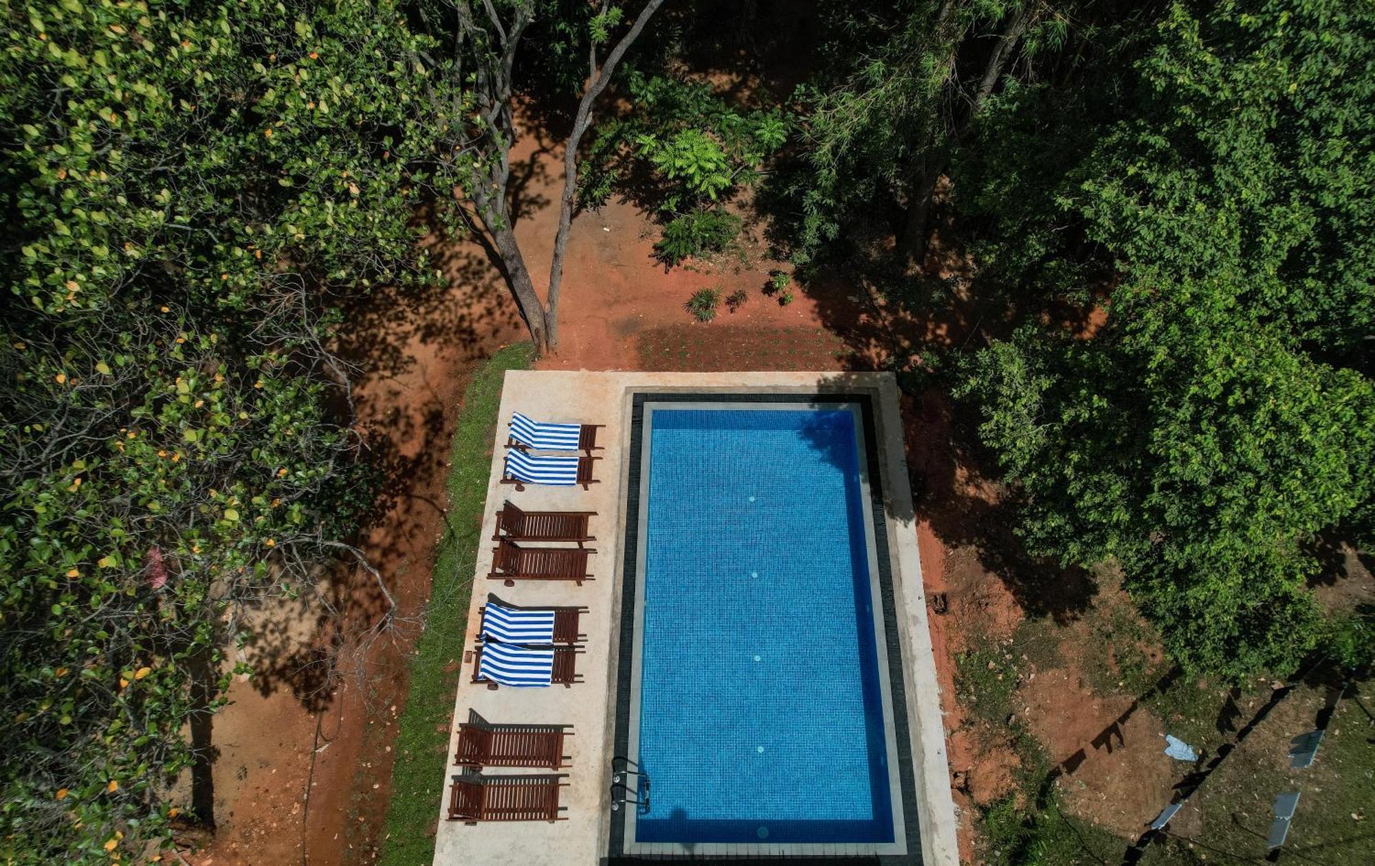 Isanka Lion Lodge Sigiriya Eksteriør bilde