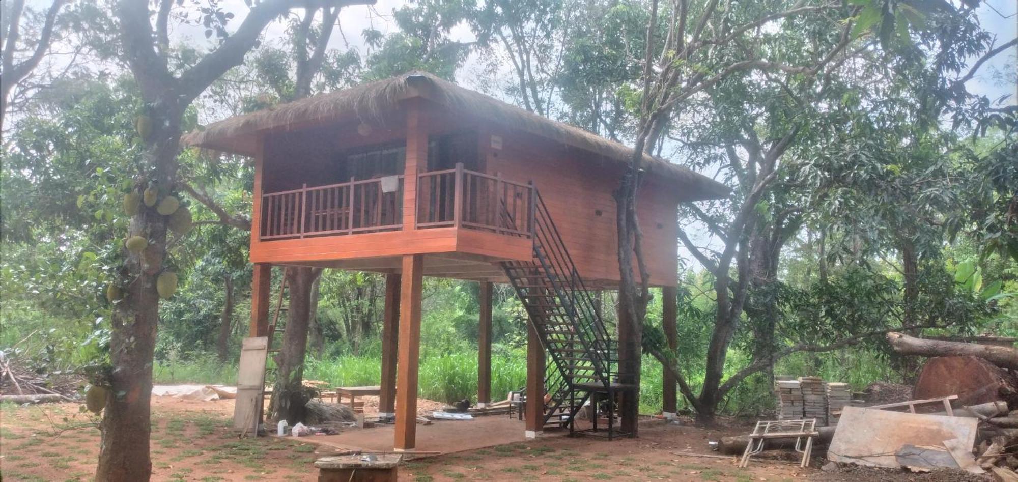 Isanka Lion Lodge Sigiriya Eksteriør bilde