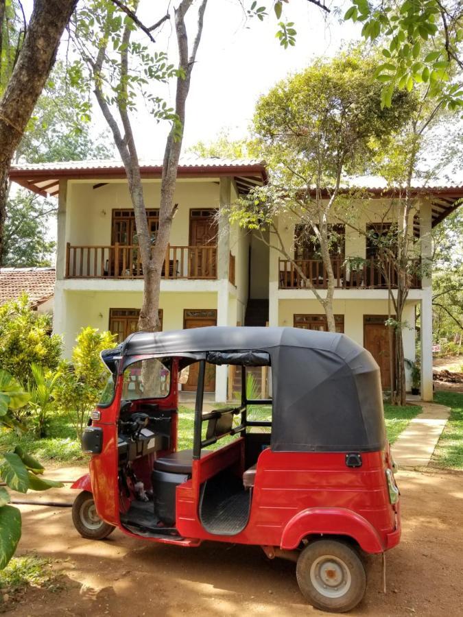 Isanka Lion Lodge Sigiriya Eksteriør bilde